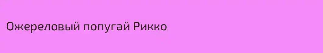 Ожереловый попугай Рикко